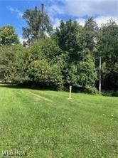 Cliffwood Ave, Zanesville, OH 43701 - photo 3