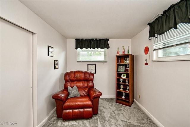 819 Carnegie Ave, Akron, OH 44314 - photo 23