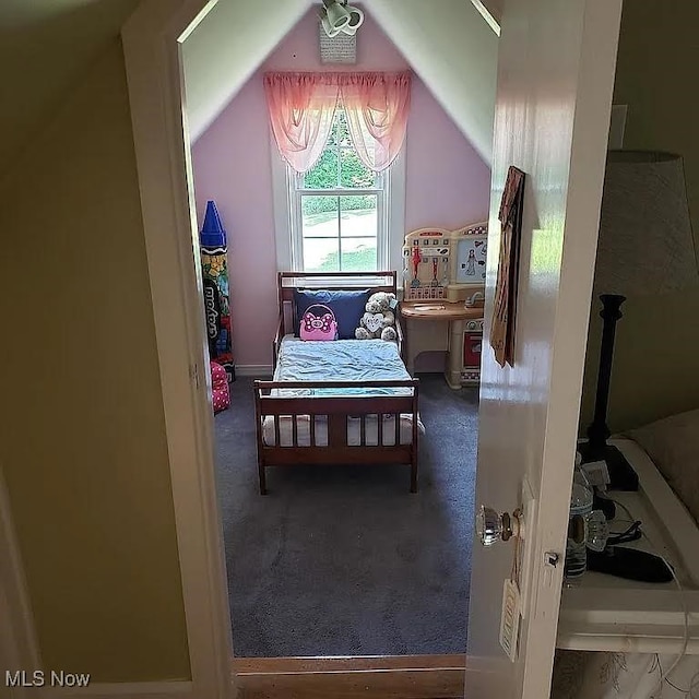 107 Strecker Hl, Marietta, OH 45750 - photo 21