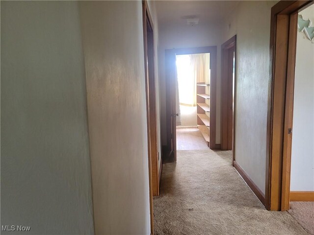 820 E Market St, Cadiz, OH 43907 - photo 6