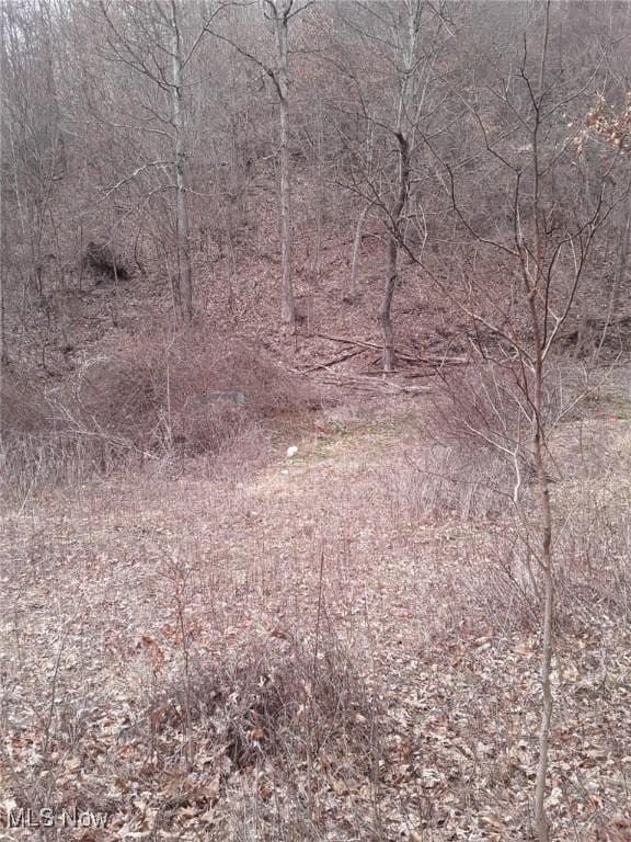 333 E Main St, Salineville, OH 43945 - photo 7