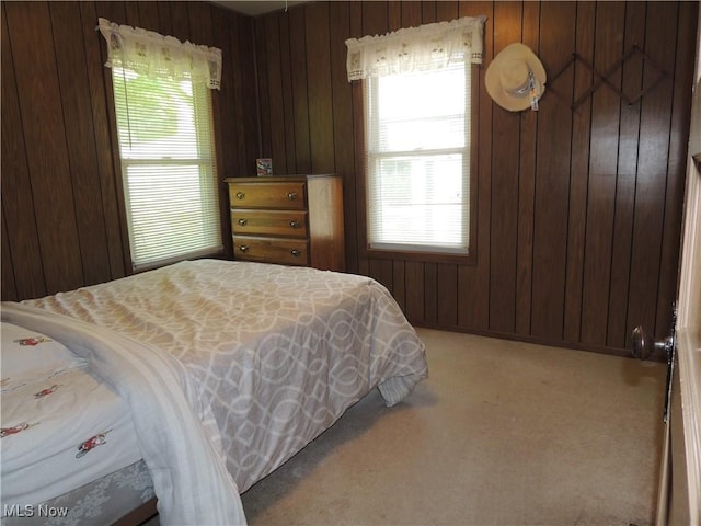 10791 Reservoir Dr, Mantua, OH 44255 - photo 5
