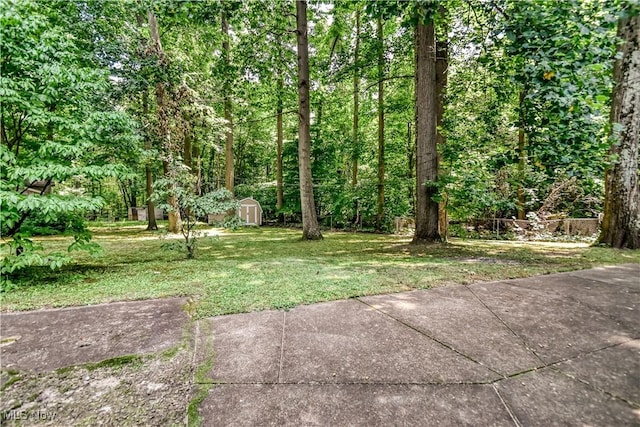 2265 Saint James St, Madison, OH 44057 - photo 45
