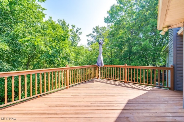 1007 Dale Dr, Wooster, OH 44691 - photo 28