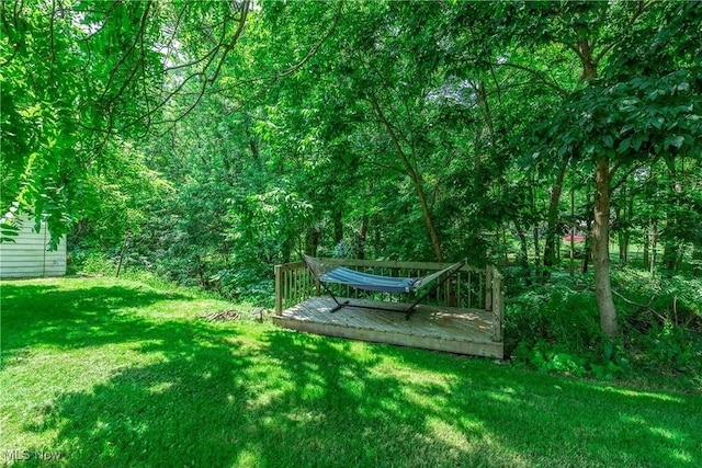 9050 Cherokee Run, Macedonia, OH 44056 - photo 38