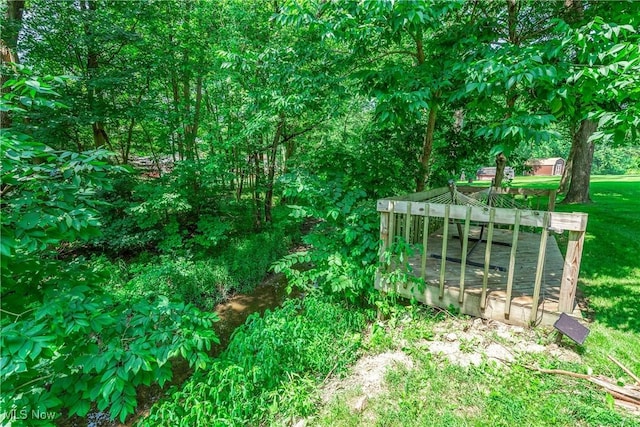 9050 Cherokee Run, Macedonia, OH 44056 - photo 39