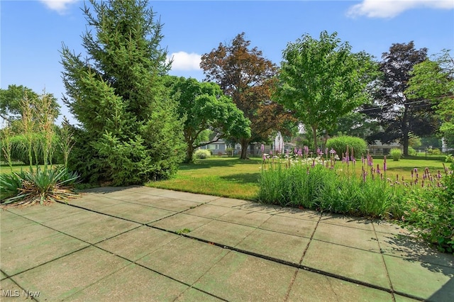 2735 W Asplin Dr, Rocky River, OH 44116 - photo 44