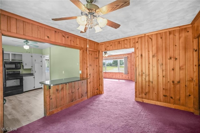4830 Mansfield Adario Rd, Shiloh, OH 44878 - photo 11