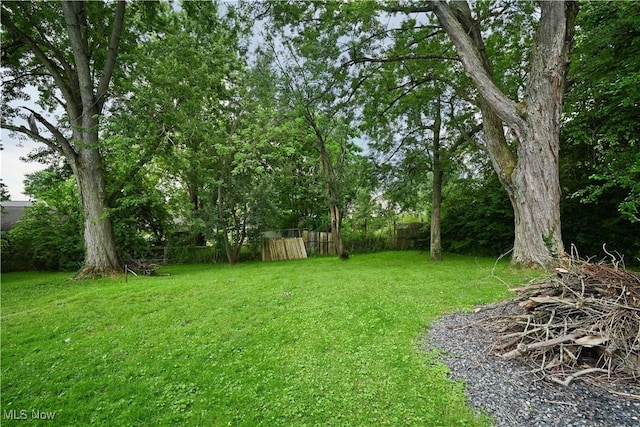 446 S Edgehill Ave, Austintown, OH 44515 - photo 39