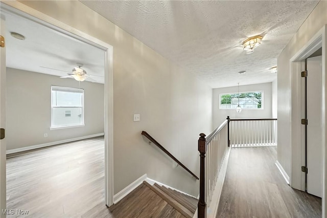 35191 Schoolhouse Ln, North Ridgeville, OH 44039 - photo 28