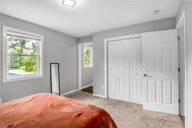 2948 Warner Rd, Fowler, OH 44418 - photo 17