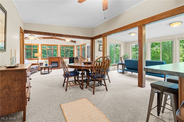 6090 Revere Rd SW, Bowerston, OH 44695 - photo 12