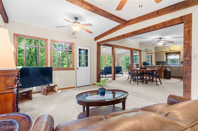 6090 Revere Rd SW, Bowerston, OH 44695 - photo 14