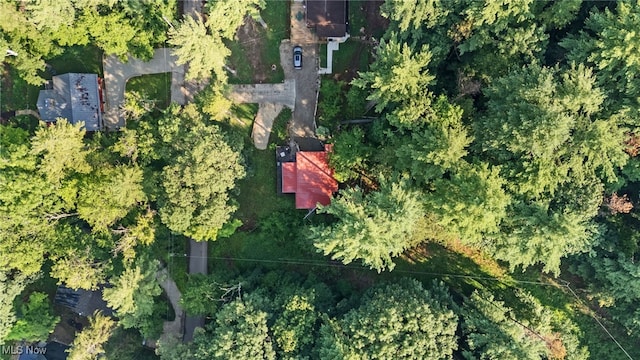 6090 Revere Rd SW, Bowerston, OH 44695 - photo 26