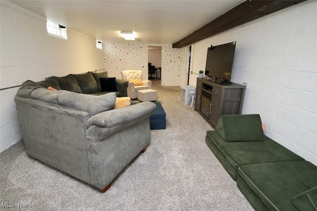8204 Grand Division Ave, Garfield Heights, OH 44125 - photo 23