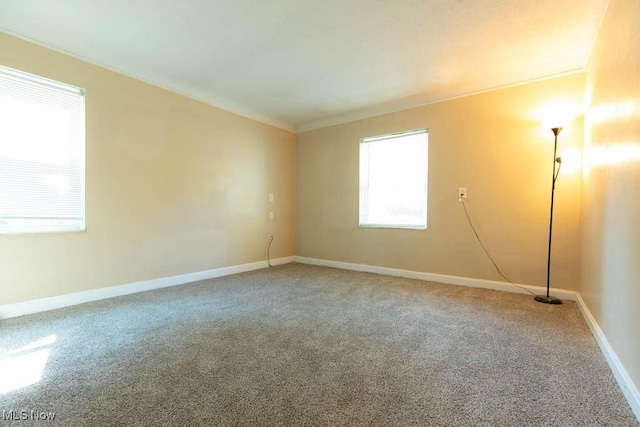 4045 Colony Rd, South Euclid, OH 44121 - photo 10