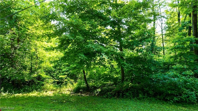 12392 Fenstermaker Rd, Garrettsville, OH 44231 - photo 1