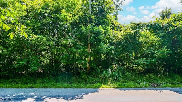 12392 Fenstermaker Rd, Garrettsville, OH 44231 - photo 4
