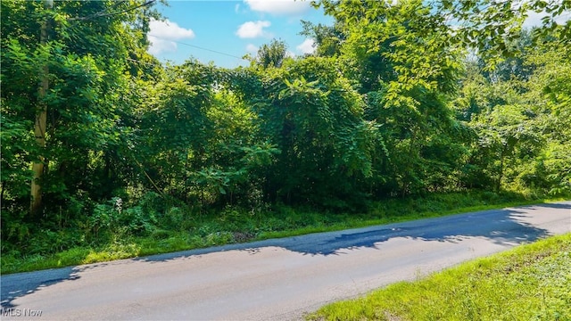 12392 Fenstermaker Rd, Garrettsville, OH 44231 - photo 5