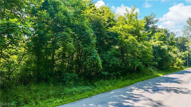 12392 Fenstermaker Rd, Garrettsville, OH 44231 - photo 6