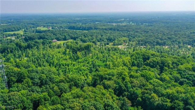 12392 Fenstermaker Rd, Garrettsville, OH 44231 - photo 14