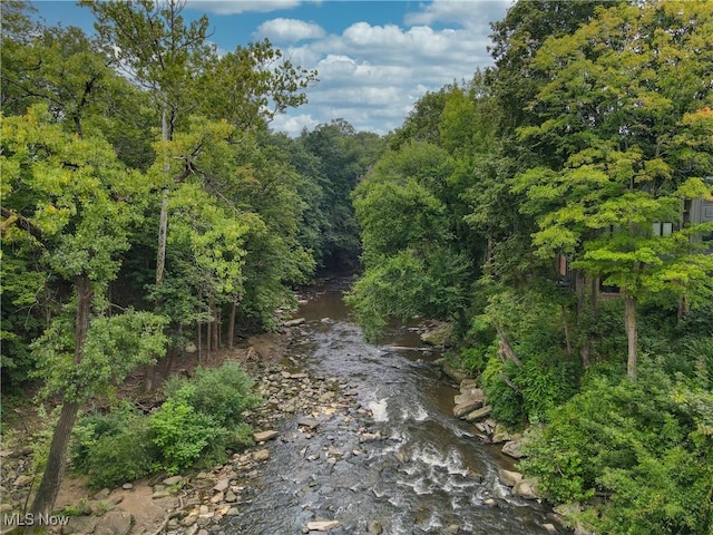 105 S Franklin St, Chagrin Falls, OH 44022 - photo 47