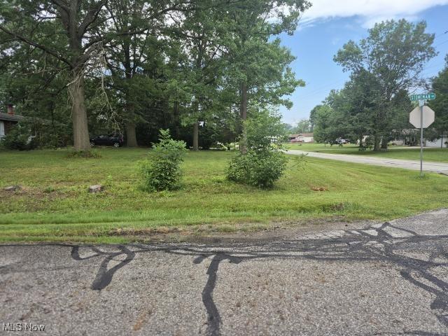 8810 Stoneman Rd, Streetsboro, OH 44241 - photo 5
