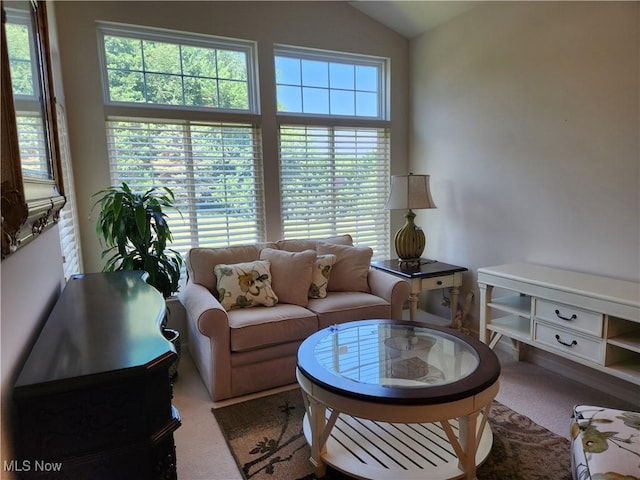 5645 Clingan Rd Unit 18A, Struthers, OH 44471 - photo 9