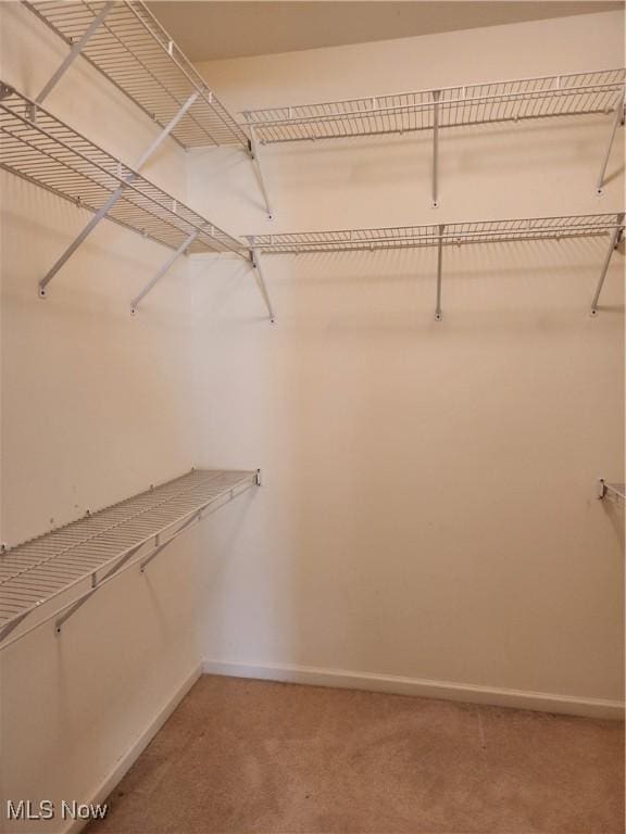 5645 Clingan Rd Unit 18A, Struthers, OH 44471 - photo 28