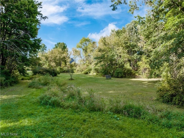 8243 Leatherman Rd, Wadsworth, OH 44281 - photo 46