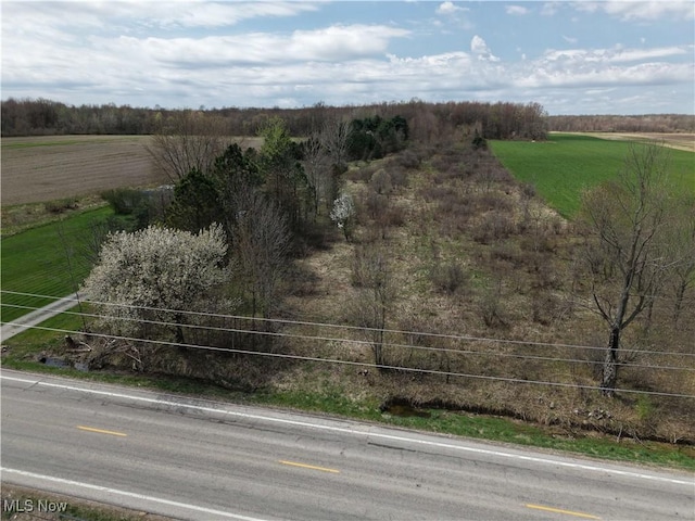 7205 State Route 7, Williamsfield, OH 44003 - photo 1