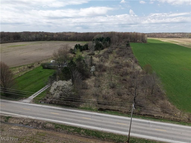 7205 State Route 7, Williamsfield, OH 44003 - photo 3