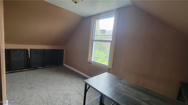 12312 Buckingham Ave, Cleveland, OH 44120 - photo 21