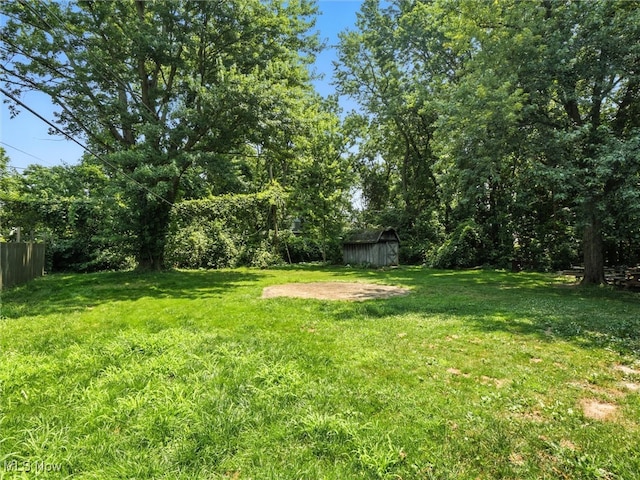 3320 Wilson Ave, Ashtabula, OH 44004 - photo 22