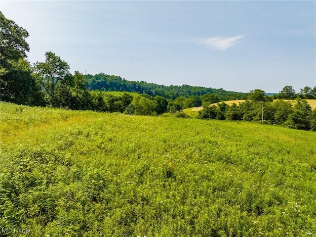 9177 Derry Rd, Bowerston, OH 44675 - photo 16
