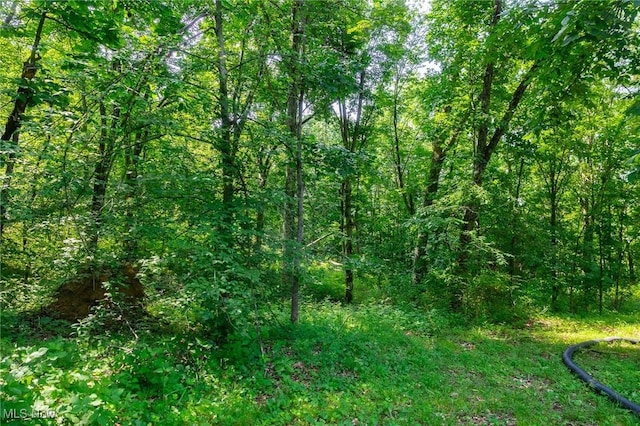 9177 Derry Rd, Bowerston, OH 44675 - photo 24