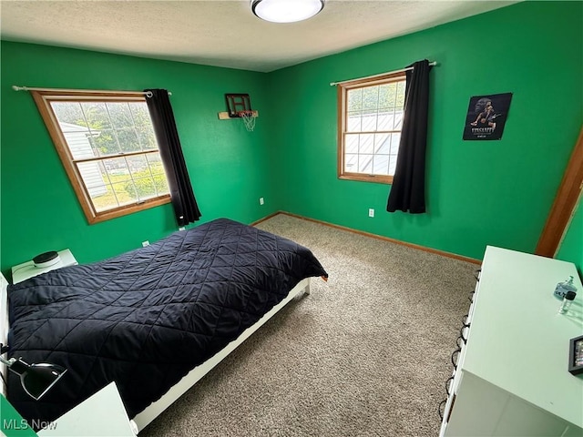 2400 Austinburg Rd, Ashtabula, OH 44004 - photo 41