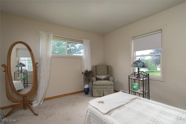 4418 State Route 303, Mantua, OH 44255 - photo 28