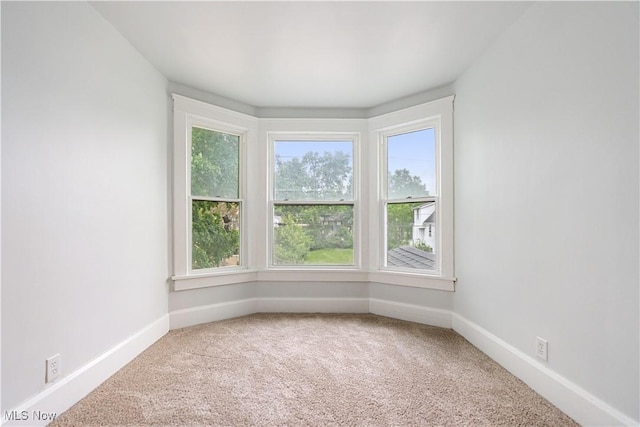 1615 Frazer Ave NW, Canton, OH 44703 - photo 28