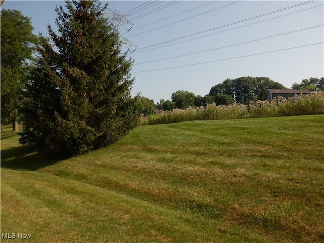 8771 Stuart Ln, Sagamore Hills, OH 44067 - photo 43
