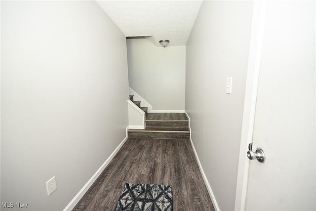 17672 Eastbrook Trl, Chagrin Falls, OH 44023 - photo 19