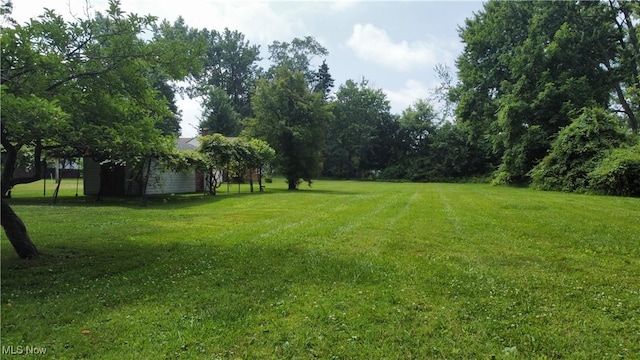 37710 Vine St, Willoughby, OH 44094 - photo 47