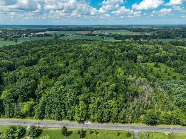 9661 Stone Rd, Litchfield, OH 44253 - photo 27