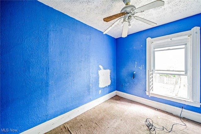 2195 E 73rd St, Cleveland, OH 44103 - photo 23