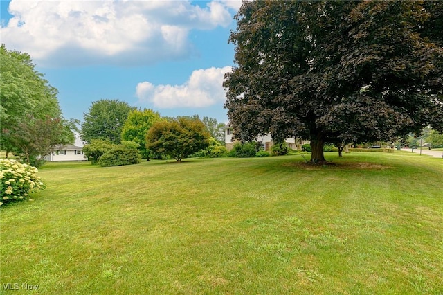 971 Camelia St NW, Hartville, OH 44632 - photo 34