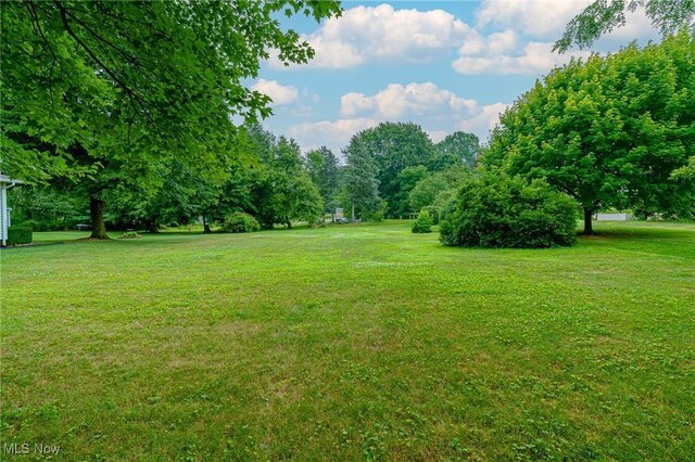 971 Camelia St NW, Hartville, OH 44632 - photo 35