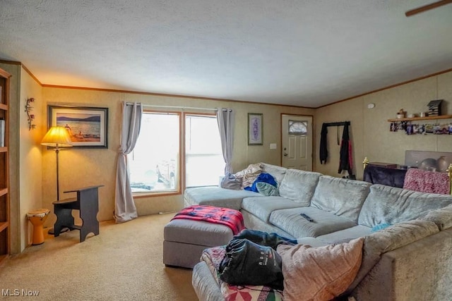 221 Sea Gull Ln, New Philadelphia, OH 44663 - photo 2