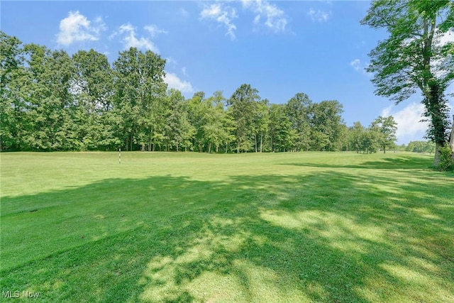 10318 Merriam Ln, Twinsburg, OH 44087 - photo 37