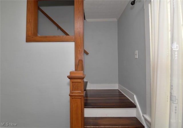 2125 Richland Ave, Lakewood, OH 44107 - photo 23