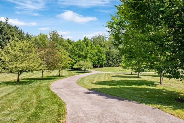 3417 S Cleveland Massillon Rd, Barberton, OH 44203 - photo 2